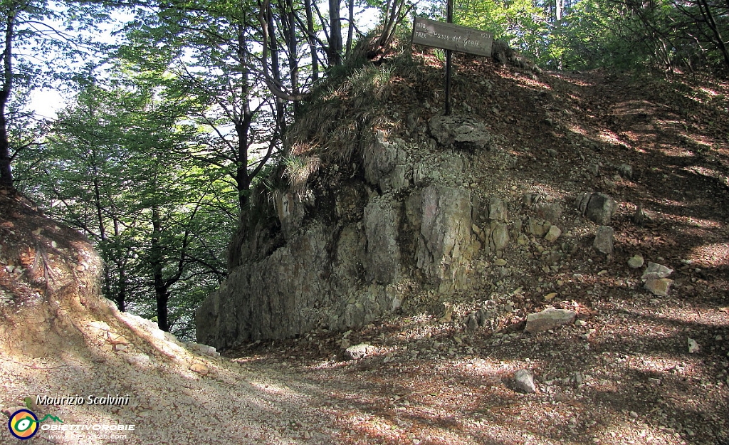 18 Il boscoso Passo del Giuff..JPG